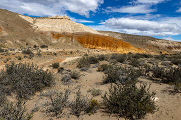 Beautiful Tierra de Colores in Parque Patagonia in Argentina, South America