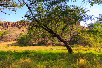 Waterberg Plateau National Park, Kalahari, Otjiwarongo, Namibia, Africa. - obrazy, fototapety, plakaty