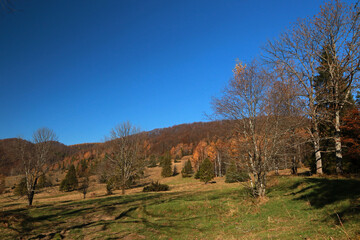 Fototapeta premium Landscape of Carynskie former and abandoned village in Bieszczady, Poland