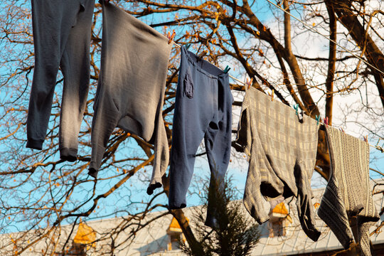View of wet clothes hanging outside on a line to dry, trees in background
