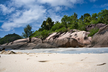 Low angle shot of beach, rock boulders and lush vegetation 