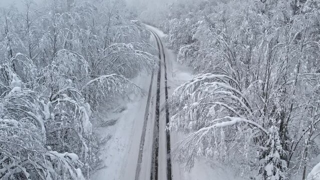 The road in forest after snowstorm. Trees with droopy branches near the road. Plateliai, Lithuania.