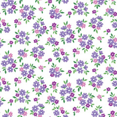 Seamless floral pattern, liberty ditsy print with tiny spring botany in rustic style. Cute botanical design: small hand drawn flowers, leaves, spring meadow on white background. Vector illustration.