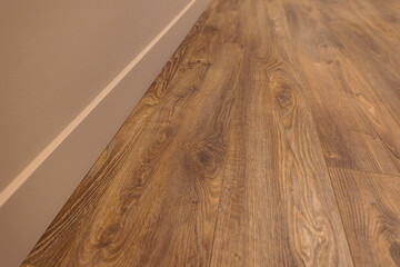 Line of junction of laminate and plinth. Apartment interior.