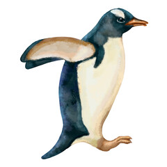 Illustration of funny penguins isolated on white background. High quality illustration