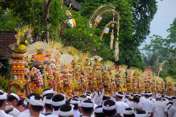 Balinese women brings gebogan when the mepeed tradition is at the village temple
