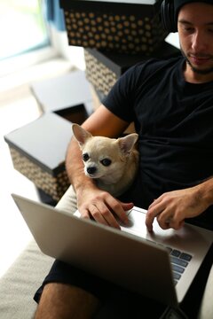A stylish man in black clothes is at home, the guy works, watches a movie, studies on a computer. With a guy at home, a Chihuahua dog, a faithful friend and helper
