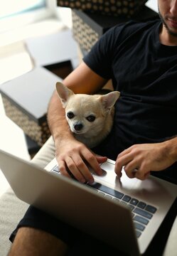a twenty-five-year-old guy is at home with his dog, the guys spend time together, watch a movie, work on a laptop and have fun, models are stylishly dressed, a modern house in a minimalist style