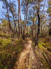 Castlemaine Bike Trails in Australia