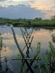 Wooden bridge pillars. Best place for fishing. Wetland landscape at dusk.