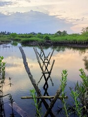 Obraz na płótnie Canvas Wooden bridge pillars. Best place for fishing. Wetland landscape at dusk.