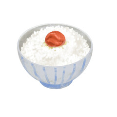 梅干しとごはん