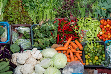 Fresh vegetable place neatly in the market or grocery store. Carrot, tomato, cucumber, lettuce, cabbage, broccolli, eggplant, chilli, lady finger, lime and etc