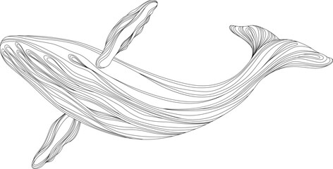 Abstract whale floating underwater. Illustration isolated animal on white background. Ocean mammal swimming. © ARTSTOK