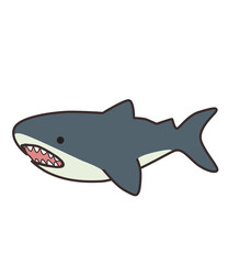  shark