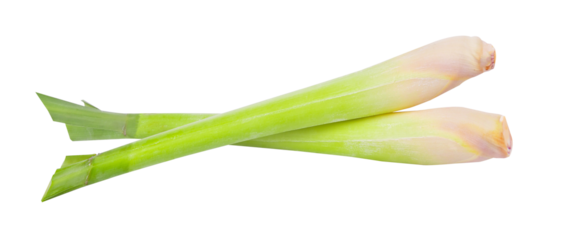 Lemon grass on transparent png