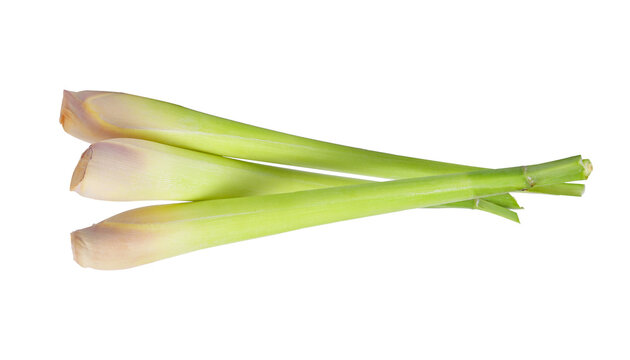 Lemon grass on transparent png