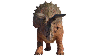 Triceratops Dinosaur on Transparent PNG Background © akiratrang