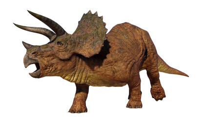 Fototapeta premium Triceratops Dinosaur on Transparent PNG Background