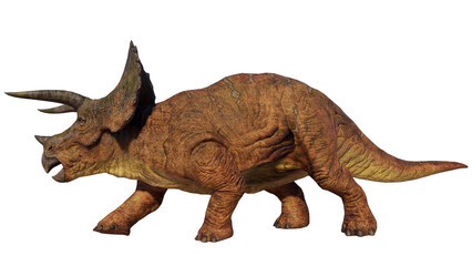 Triceratops Dinosaur on Transparent PNG Background