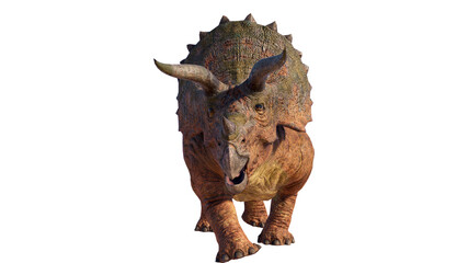 Triceratops Dinosaur on Transparent PNG Background © akiratrang