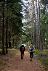 Obraz premium hiking in the woods