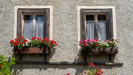 Fototapeta na wymiar Traditional flowered window at the Alps and Dolomites. Colorful flowers of a windows of a traditional house. Summer time. Mix of flowers and colors. General contest of the European Alps