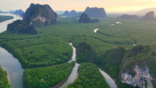 Phang nag bay in Thailand at sunset, tourism in Southeast Asia, mangrove rainforest in tropical river delta, vacation in Krabi, Thailand jungle landscape