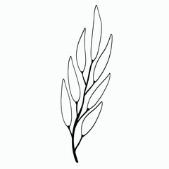 Simplicity floral freehand drawing flat design.