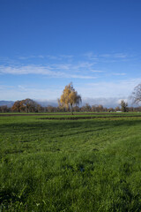 Obraz premium View onto the wide fields of a natural reserve