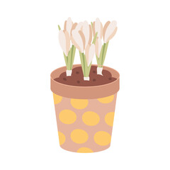 Clay pot with tulips isolated on white background. Garden equipment, tool. Seasonal garden work. Spring vector llustration.