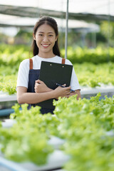 Young adorable Asian farmer working in hydroponic, checking and inspecting the quality of the salad.