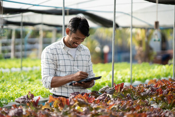 Side view of young male farmer collecting data and details of the salad in the harvest process.