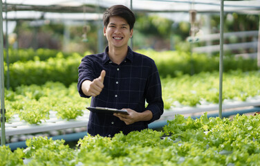 Portrait of young Asian farm worker standing in the salad farm with the thumbs up hand.