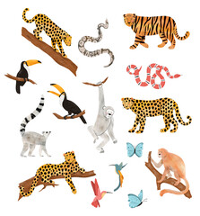 Fototapeta premium Digital elements of safari, jungle patterns, isolates, savannah animals