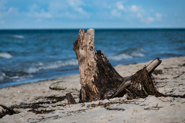 Fototapeta premium Strandfeeling 