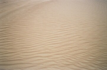 Fototapeta na wymiar sand dune texture in Dubaifilm photography 