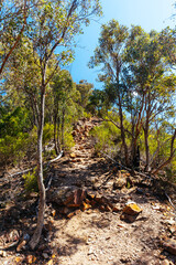 Lerderderg Gorge Circuit Walk in Melbourne Australia