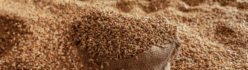 Harvested wheat grain in a linen sack Horizontal images