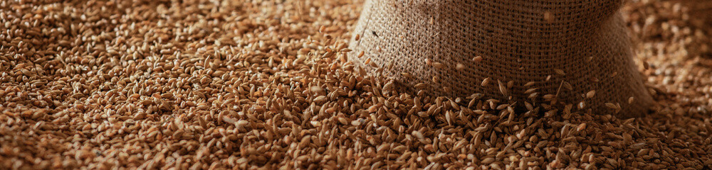 Harvested wheat grain in a linen sack Horizontal images