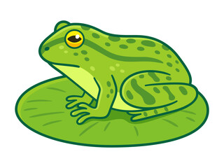 Green frog on lilypad drawing