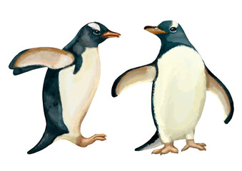 Fototapeta na wymiar Illustration of funny penguins isolated on white background. High quality illustration