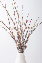 flowering fluffy willow twigs in a vase on a white background. Symbol of Christianity, Palm Sunday © Светлана Высокос