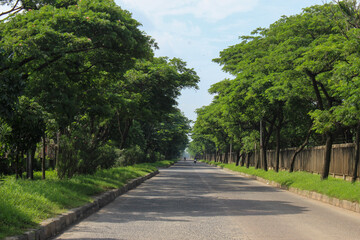 a quiet road with shady trees by the side of the road