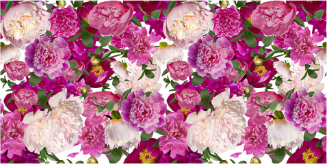 Obraz na płótnie Canvas pattern of garden peonies. beautiful flowers on a black background. emplate for fabrics, textiles, paper, wallpaper, interior decoration. banner
