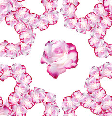 Pattern Textile Rose. Fragment of colorful retro tapestry textile pattern with floral ornament useful as background