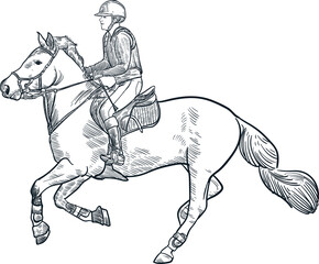 Vintage hand drawn sketch equestrian sports - obrazy, fototapety, plakaty