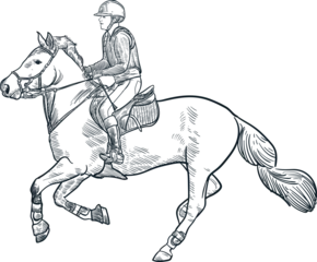 Foto auf Acrylglas Vintage hand drawn sketch equestrian sports © Cus
