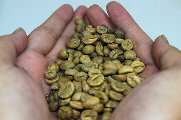 portrait of coffee beans in hand