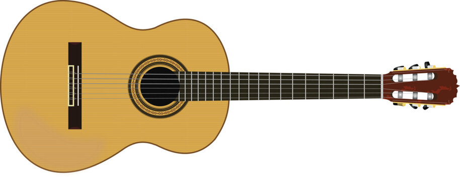 Hyperreal Classic guitar Vector	